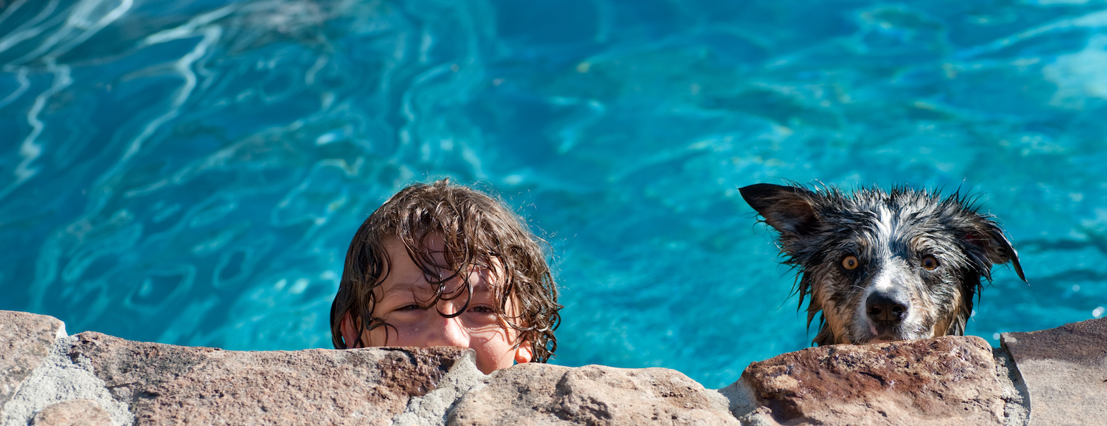 Crystal clear swimming pool with blue water